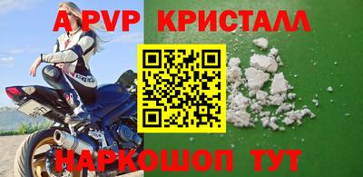 шишки Изобильный